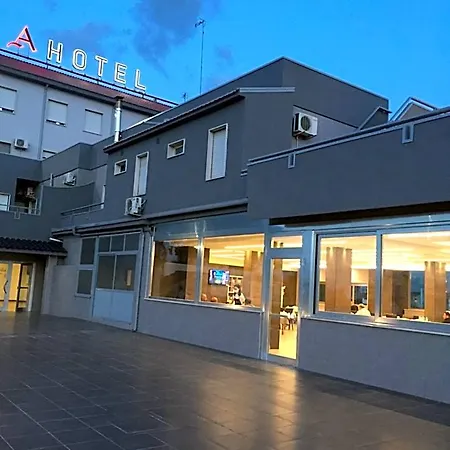 Asselta